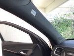 IMG_8348.jpeg